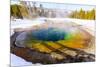 Morning Glory in Snow. Yellowstone National Park, Wyoming.-Tom Norring-Mounted Photographic Print