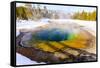 Morning Glory in Snow. Yellowstone National Park, Wyoming.-Tom Norring-Framed Stretched Canvas