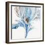 Morning Glory Light II-Wendy Kroeker-Framed Art Print