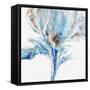 Morning Glory Light II-Wendy Kroeker-Framed Stretched Canvas