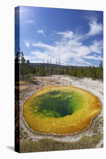 Morning Glory Pool, Upper Geyser Basin, Yellowstone Nat'l Park, UNESCO Site, Wyoming, USA-Peter Barritt-Stretched Canvas