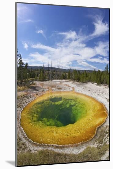 Morning Glory Pool, Upper Geyser Basin, Yellowstone Nat'l Park, UNESCO Site, Wyoming, USA-Peter Barritt-Mounted Photographic Print