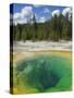 Morning Glory Pool, Upper Geyser Basin, Yellowstone National Park, Wyoming, USA-Neale Clarke-Stretched Canvas