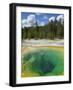 Morning Glory Pool, Upper Geyser Basin, Yellowstone National Park, Wyoming, USA-Neale Clarke-Framed Photographic Print