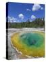 Morning Glory Pool, Upper Geyser Basin, Yellowstone National Park, Wyoming, USA-Neale Clarke-Stretched Canvas