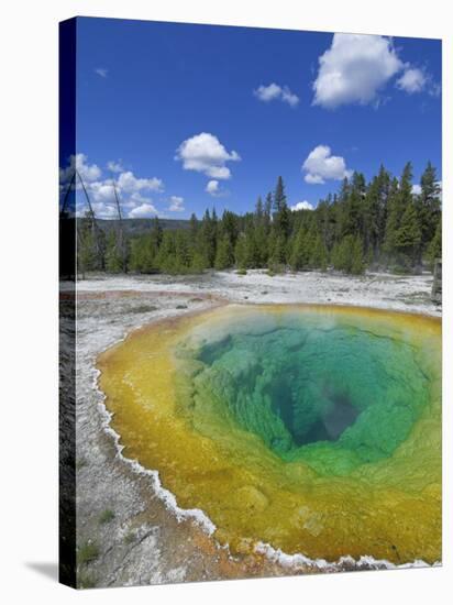 Morning Glory Pool, Upper Geyser Basin, Yellowstone National Park, Wyoming, USA-Neale Clarke-Stretched Canvas