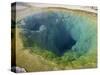 Morning Glory Pool, Yellowstone National Park, UNESCO World Heritage Site, Wyoming, USA-Pottage Julian-Stretched Canvas