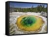 Morning Glory Pool, Yellowstone National Park, Wyoming, USA-Michele Falzone-Framed Stretched Canvas