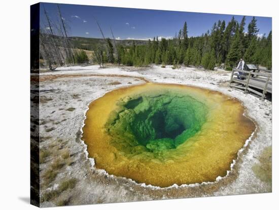 Morning Glory Pool, Yellowstone National Park, Wyoming, USA-Michele Falzone-Stretched Canvas