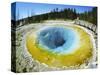 Morning Glory Pool, Yellowstone National Park, Wyoming-Anthony Waltham-Stretched Canvas