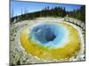 Morning Glory Pool, Yellowstone National Park, Wyoming-Anthony Waltham-Mounted Photographic Print