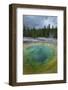 Morning Glory Pool, Yellowstone National Park.-Alan Majchrowicz-Framed Photographic Print