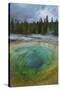 Morning Glory Pool, Yellowstone National Park.-Alan Majchrowicz-Stretched Canvas