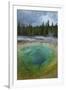 Morning Glory Pool, Yellowstone National Park.-Alan Majchrowicz-Framed Photographic Print