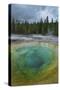 Morning Glory Pool, Yellowstone National Park.-Alan Majchrowicz-Stretched Canvas