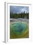 Morning Glory Pool, Yellowstone National Park.-Alan Majchrowicz-Framed Photographic Print