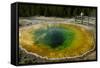 Morning Glory Pool, Yellowstone NP, Wyoming, USA-Jerry Ginsberg-Framed Stretched Canvas