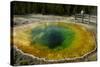 Morning Glory Pool, Yellowstone NP, Wyoming, USA-Jerry Ginsberg-Stretched Canvas