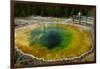 Morning Glory Pool, Yellowstone NP, Wyoming, USA-Jerry Ginsberg-Framed Photographic Print