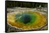 Morning Glory Pool, Yellowstone NP, Wyoming, USA-Jerry Ginsberg-Framed Stretched Canvas