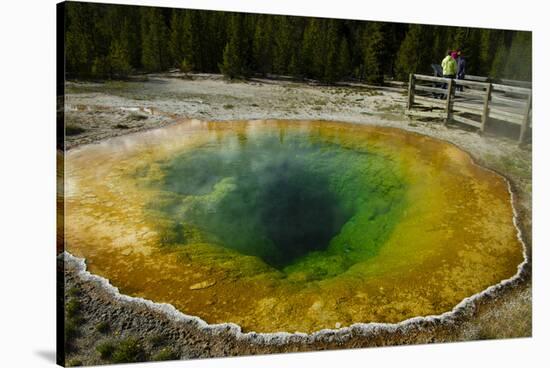 Morning Glory Pool, Yellowstone NP, Wyoming, USA-Jerry Ginsberg-Stretched Canvas