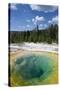 Morning Glory Pool Yellowstone-null-Stretched Canvas