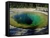 Morning Glory Spring, Yellowstone National Park, Unesco World Heritage Site, USA-Roy Rainford-Framed Stretched Canvas