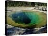 Morning Glory Spring, Yellowstone National Park, Unesco World Heritage Site, USA-Roy Rainford-Stretched Canvas