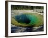 Morning Glory Spring, Yellowstone National Park, Unesco World Heritage Site, USA-Roy Rainford-Framed Photographic Print