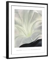 Morning Glory with Black, 1926-Georgia O'Keeffe-Framed Art Print