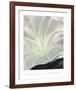 Morning Glory with Black, 1926-Georgia O'Keeffe-Framed Art Print