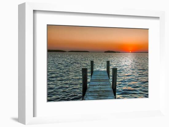 Morning Glory-Mary Lou Johnson-Framed Art Print