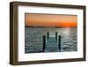 Morning Glory-Mary Lou Johnson-Framed Giclee Print