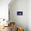 Morning Glory-Anna Miller-Mounted Photographic Print displayed on a wall