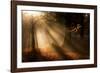 Morning Glory-Craig Roberts-Framed Photographic Print