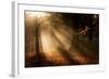 Morning Glory-Craig Roberts-Framed Photographic Print