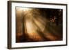 Morning Glory-Craig Roberts-Framed Photographic Print