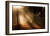 Morning Glory-Craig Roberts-Framed Photographic Print