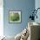 Morning glory-Valda Bailey-Framed Photographic Print displayed on a wall