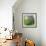 Morning glory-Valda Bailey-Framed Photographic Print displayed on a wall