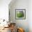 Morning glory-Valda Bailey-Framed Photographic Print displayed on a wall