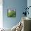 Morning glory-Valda Bailey-Framed Stretched Canvas displayed on a wall