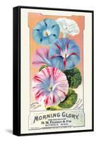 Morning Glory-null-Framed Stretched Canvas