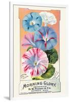 Morning Glory-null-Framed Art Print