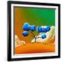 Morning Glory-Cindy Thornton-Framed Art Print