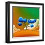 Morning Glory-Cindy Thornton-Framed Art Print