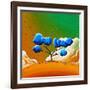 Morning Glory-Cindy Thornton-Framed Art Print