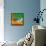 Morning Glory-Cindy Thornton-Framed Stretched Canvas displayed on a wall
