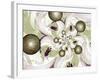 Morning Glory-Fractalicious-Framed Giclee Print