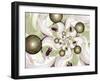 Morning Glory-Fractalicious-Framed Giclee Print